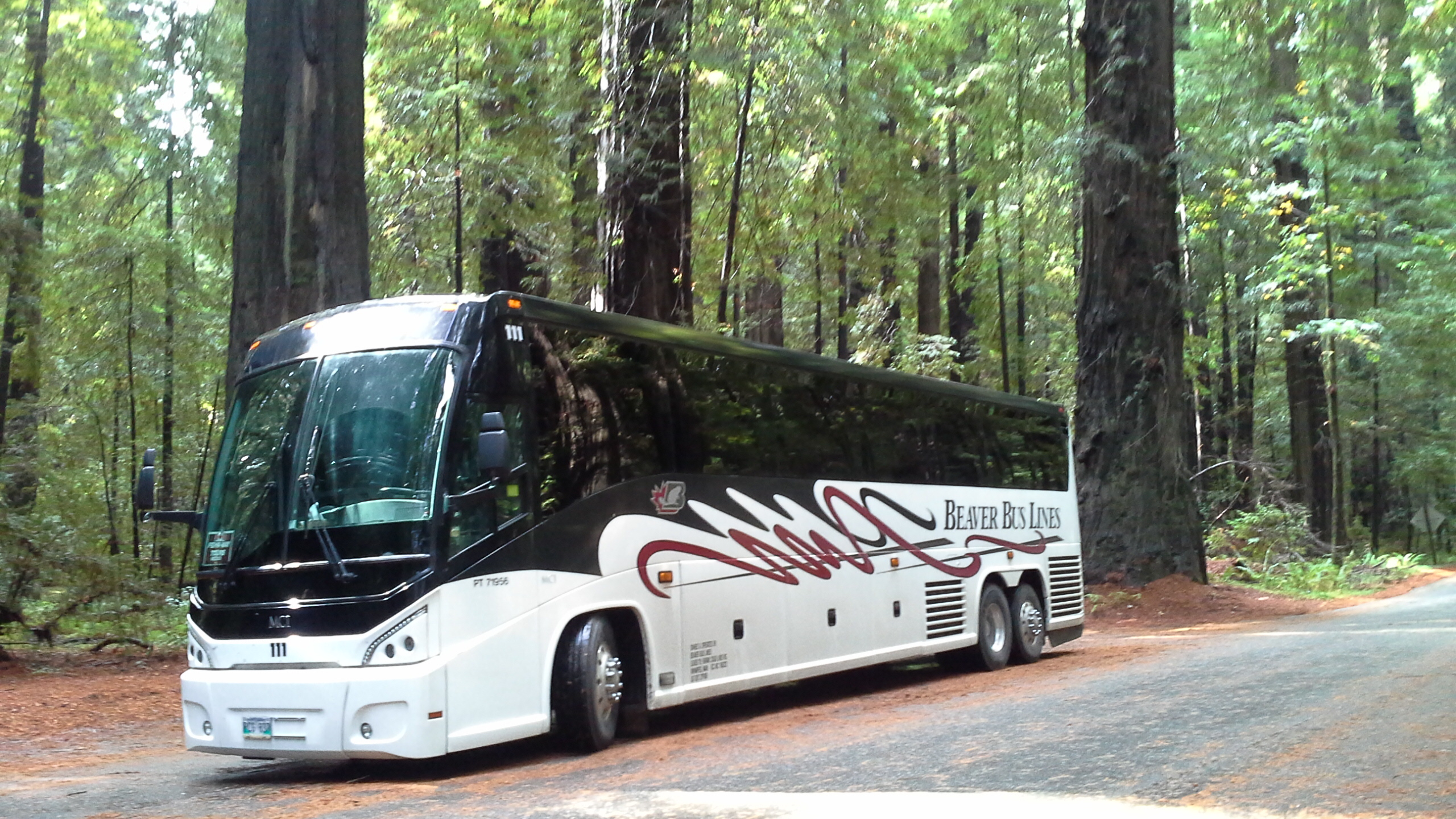 bus tour companies winnipeg